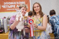 г. Волгоград 06-07 июня 2015 г.
