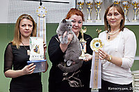 г. Волгоград 09-10 марта 2013г.
