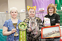 г. Пенза 11-12 мая 2013г.