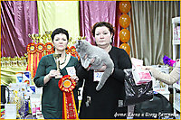 г. Пенза 17-18 ноя 2012г.