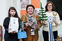 г. Волгоград 23 декабря 2012г.