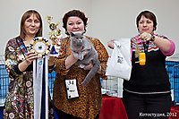 г. Волгоград 23 декабря 2012г.