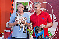 г. Самара 25-26 мая 2013г.