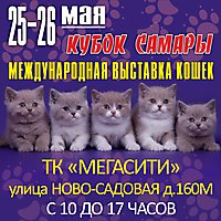 г. Самара 25-26 мая 2013г.