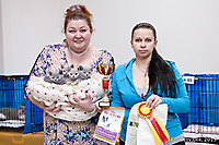г. Волгоград 7-8 сент 2013г.