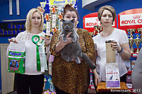 г. Старый Оскол 12-13 окт 2013г.