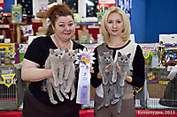 г. Старый Оскол 12-13 окт 2013г.