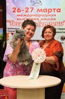 г. Оренбург март 2016 г.