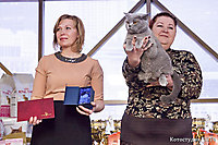TOP CAT 2013