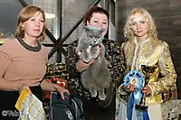 TOP CAT 2013