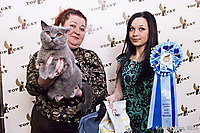 TOP CAT 2013