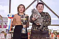 TOP CAT 2013