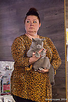 TOP CAT 2013