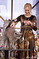 TOP CAT 2013