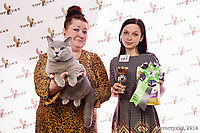 TOP CAT 2013