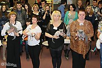 TOP CAT 2013